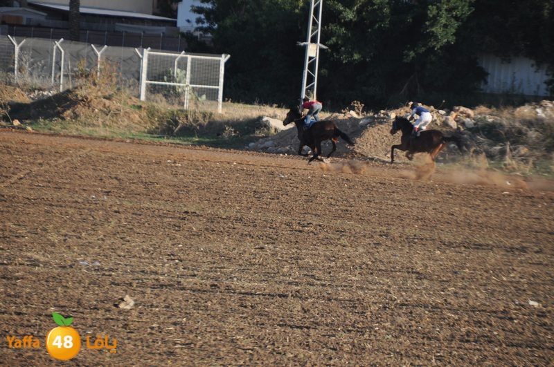 Khowoyouls ramala (10).JPG